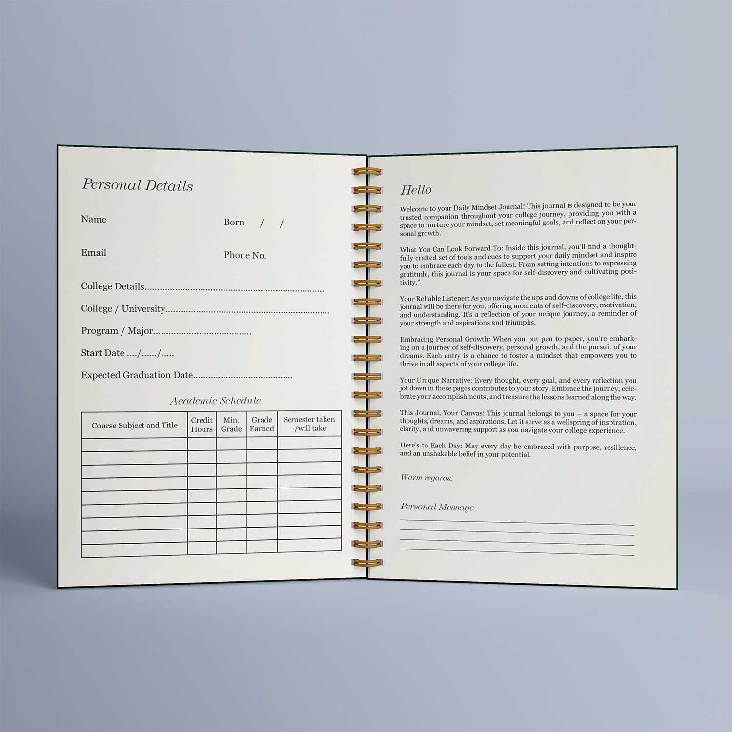 Student Daily Mindset Journal in USA-PreOrder Journal MAISON&GRACE PUBLISHING